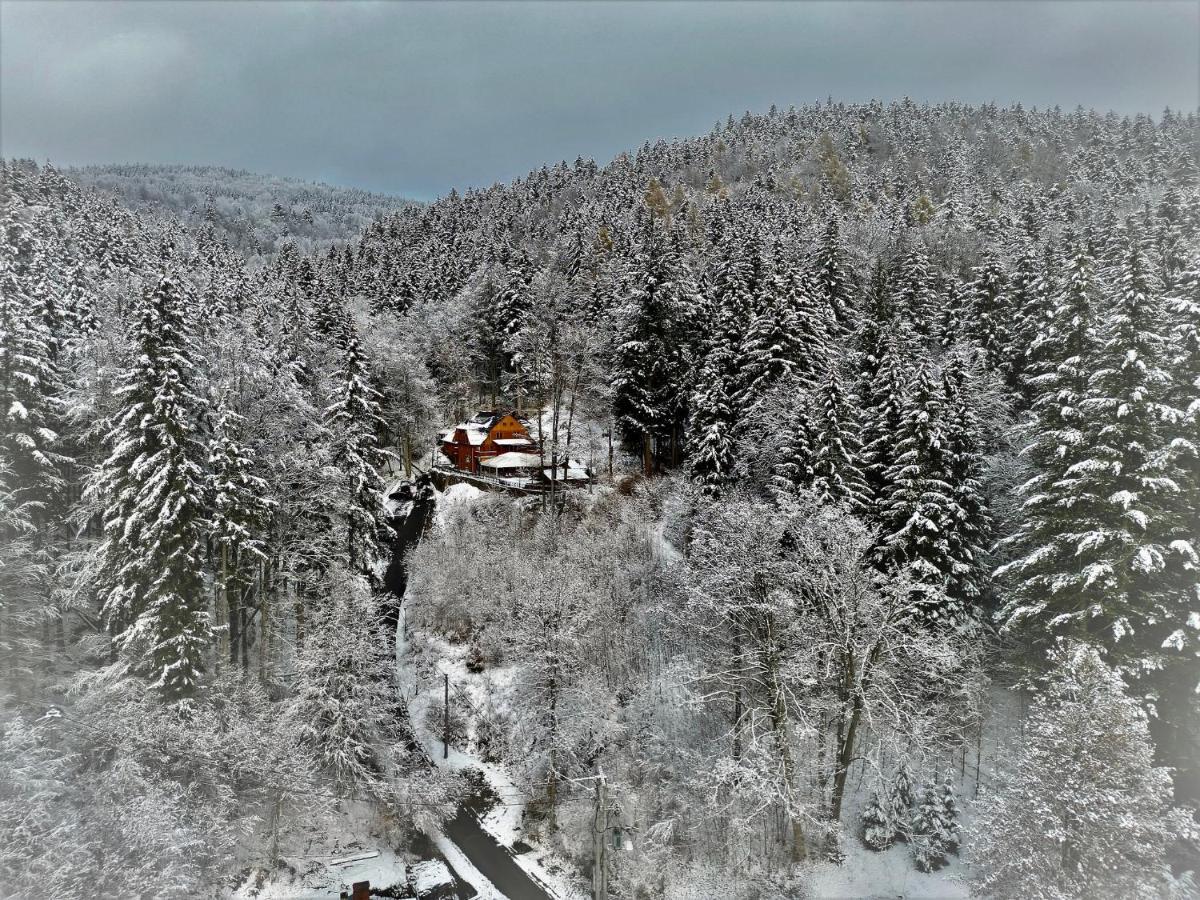 Pensjonat Alpejski Dwor Мєндзиґуже Екстер'єр фото
