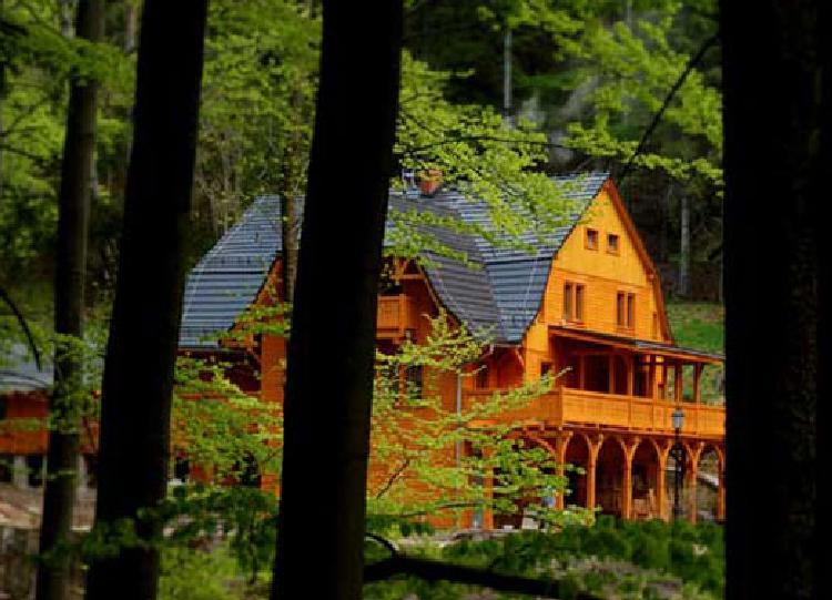 Pensjonat Alpejski Dwor Мєндзиґуже Екстер'єр фото