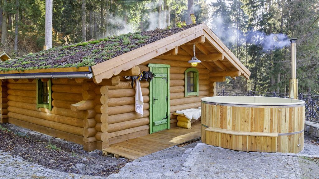 Pensjonat Alpejski Dwor Мєндзиґуже Екстер'єр фото
